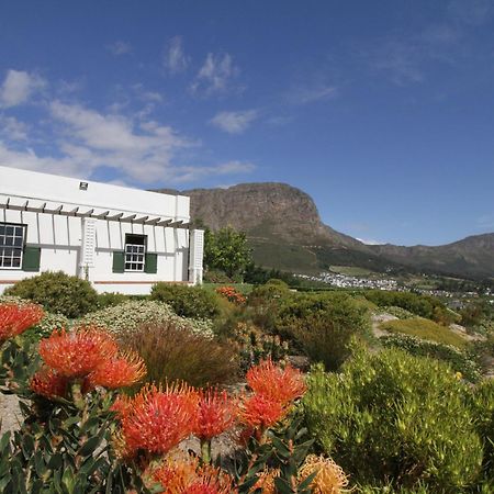 The Vineyard Cottage By L' Amitie Estate Franschhoek Dış mekan fotoğraf