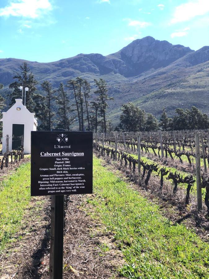 The Vineyard Cottage By L' Amitie Estate Franschhoek Dış mekan fotoğraf