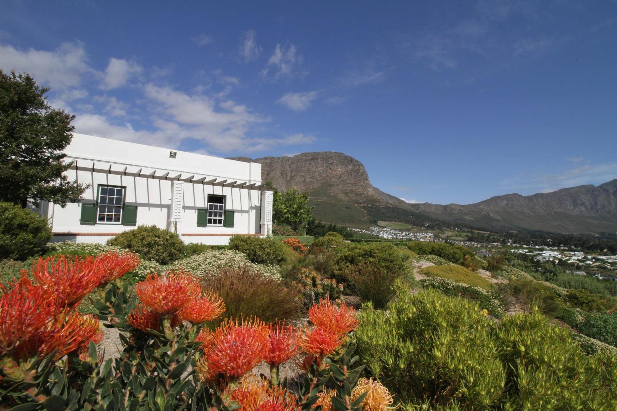 The Vineyard Cottage By L' Amitie Estate Franschhoek Dış mekan fotoğraf